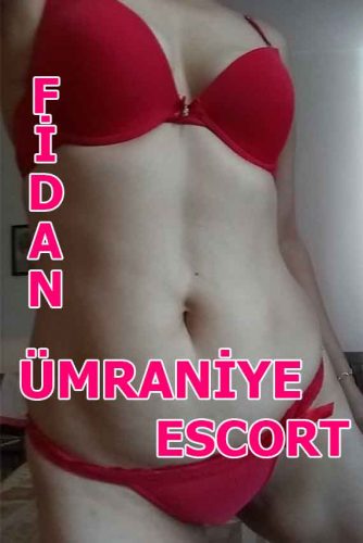 Genç Kızları Aratmayan Mantıklı Ümraniye Escort Fidan